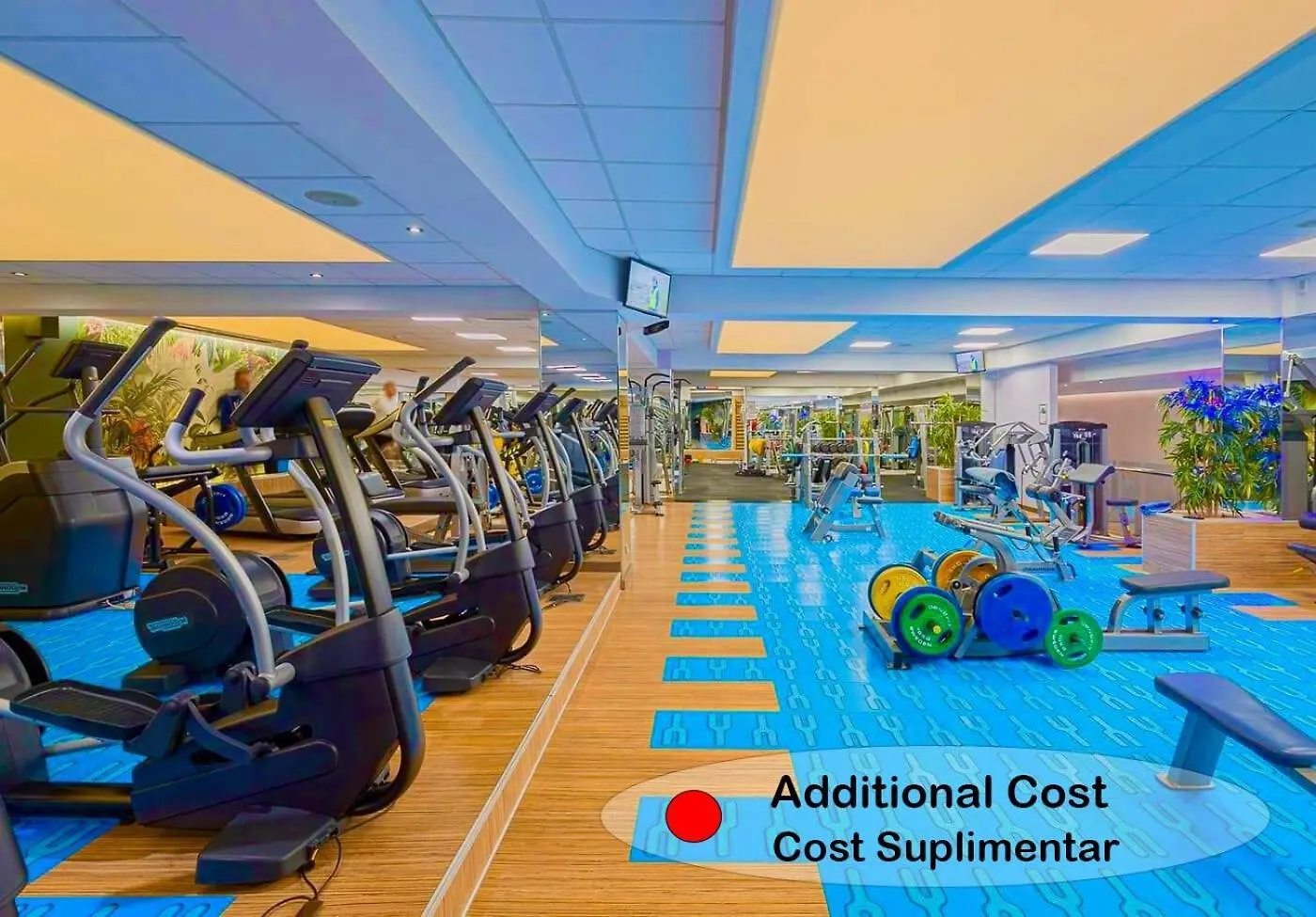 בוקרשט Yamaluxe Apartments - Cosy & Trendy 0*,  רומניה